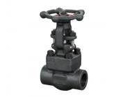 鍛鋼閘閥：堅實守護，確保流體控制的嚴密性